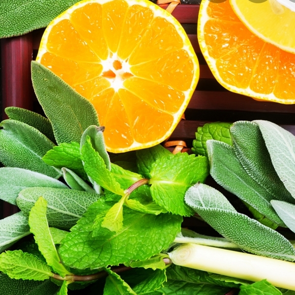 Island Citrus for Men (and Women) - Picture 3 of 6